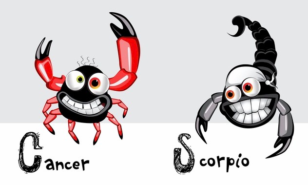 Рак влюбленный в Скорпиона