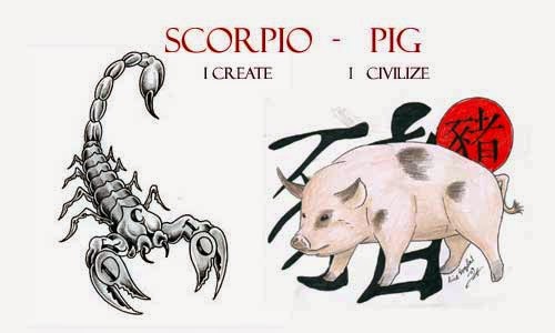 Скорпион и свинья.