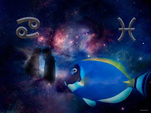 Рыбы и Рак - совместимость знаков