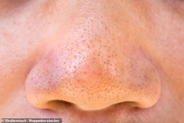 Your nose knows: Nostrils can detect odours independently from one another and can subconsciously guide you to the source of a smell (stock image)