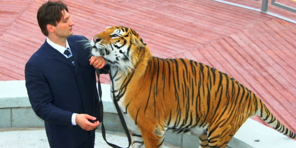 Мужчина и тигр
