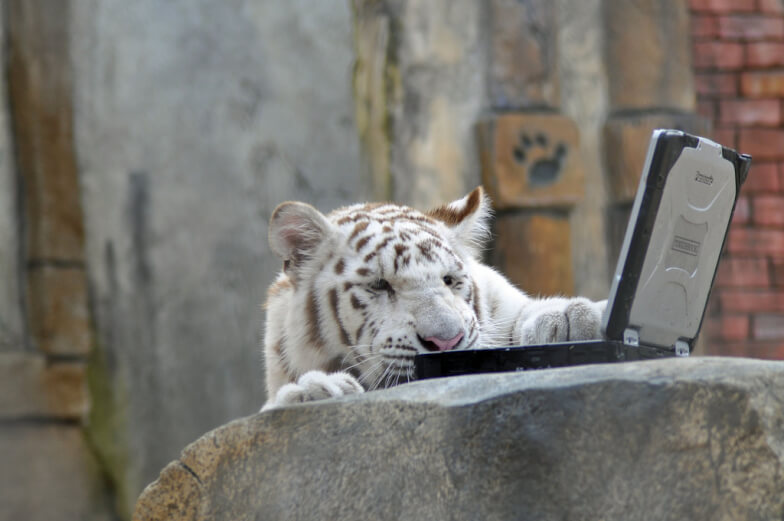 Изучи негодяйку изнутри