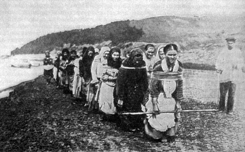 Бурлачки на реке Суре. 1915 год.historic.ru