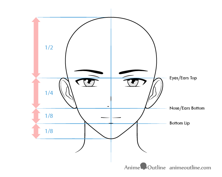 Anime male character face proportions